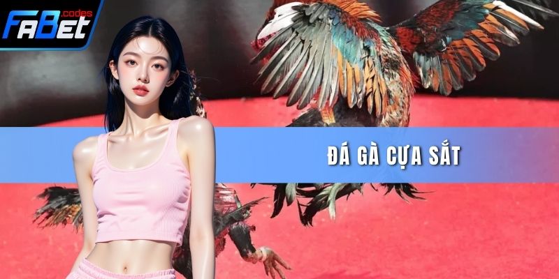 Đá Gà Cựa Sắt