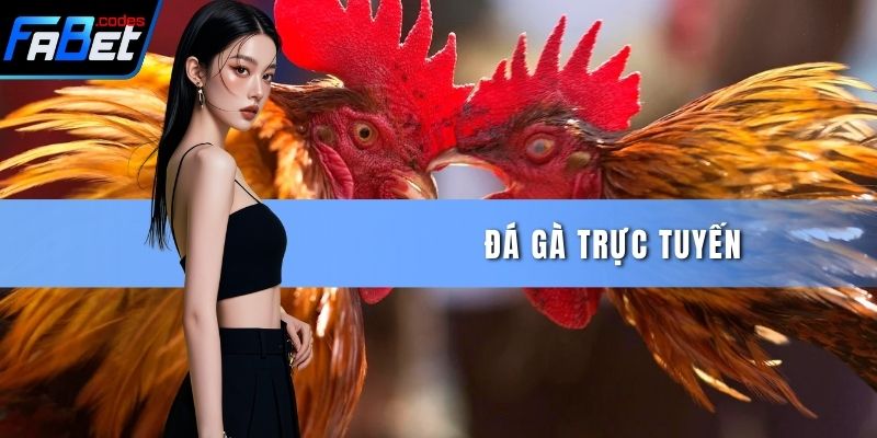 Đá Gà Trực Tuyến