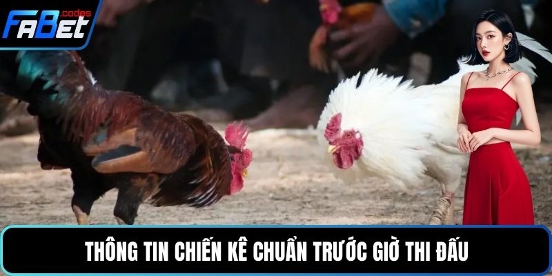 Thông tin chiến kê chuẩn trước giờ thi đấu