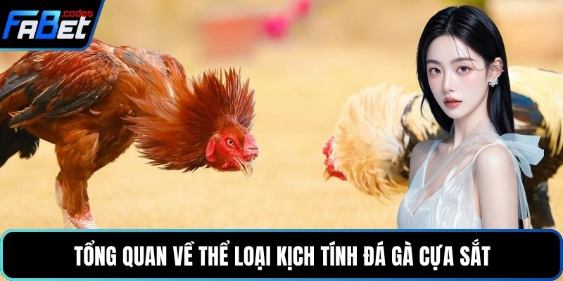 Tổng quan về thể loại kịch tính Đá gà cựa sắt